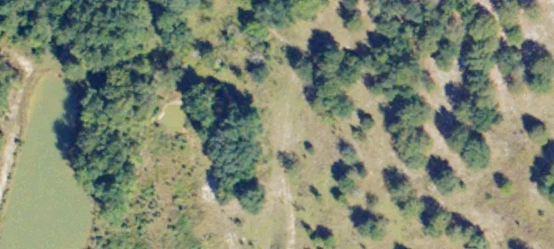 Alamo, GA 30411
