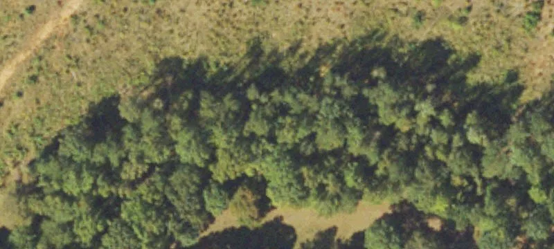 2450 Chestnut Grove Rd