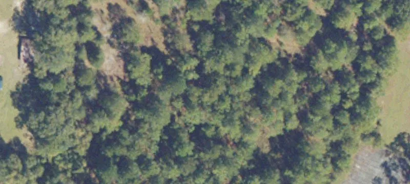 Willacoochee, GA 31650