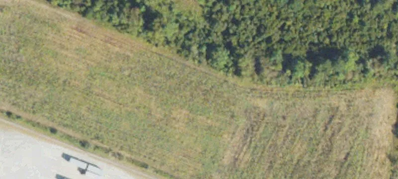 Hazlehurst, GA 31539