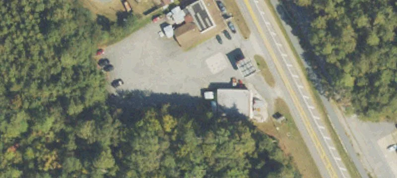  Pine