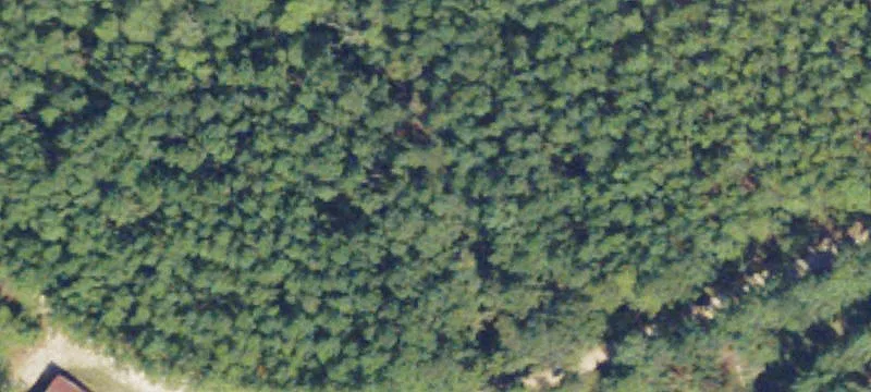 Glenwood, GA 30428