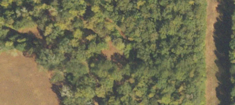 Hamilton, GA 31811