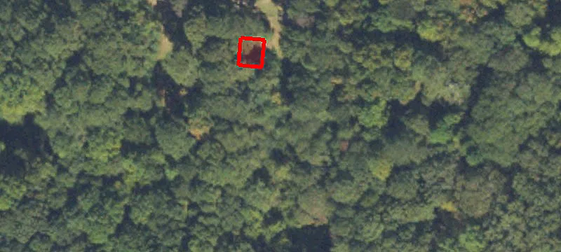 2350 Bethsaida Rd