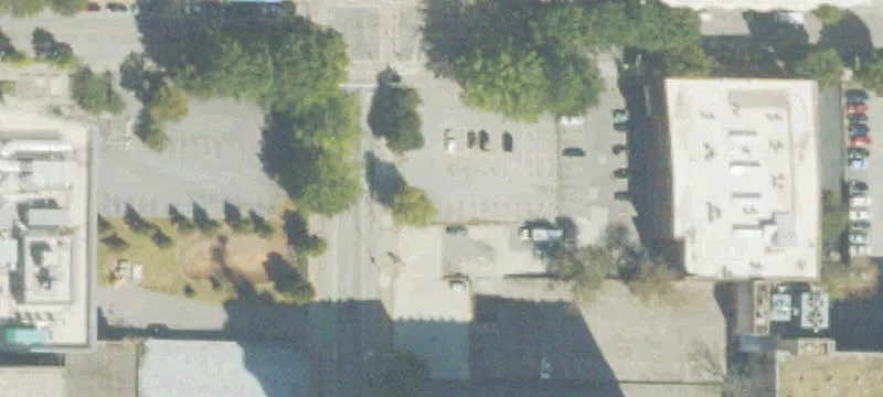 Ivy NE St