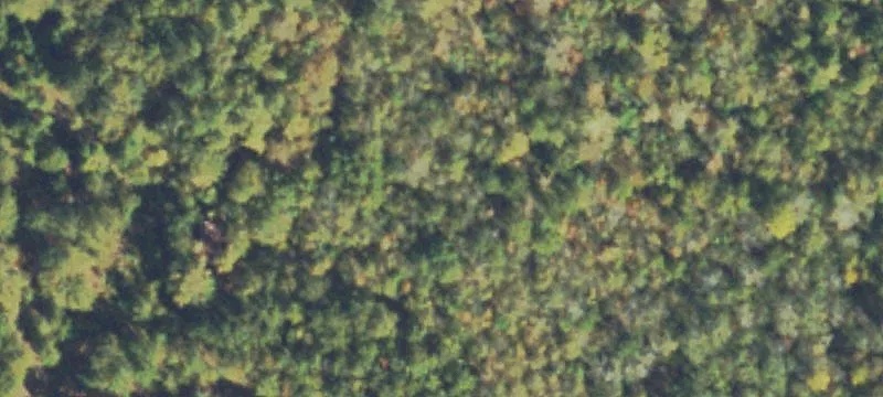 Veribest Rd