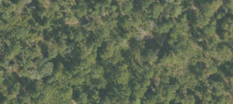 Blakely, GA 39823