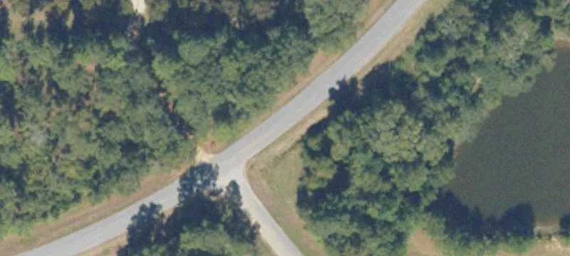 4442 Lewis B Collins Rd