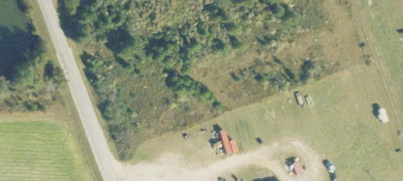 Sylvia Dr
