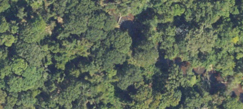 Oglethorpe, GA 31068