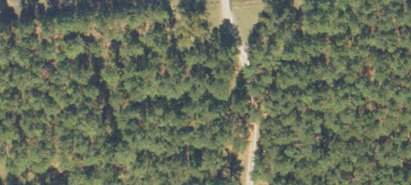 Climax, GA 39834