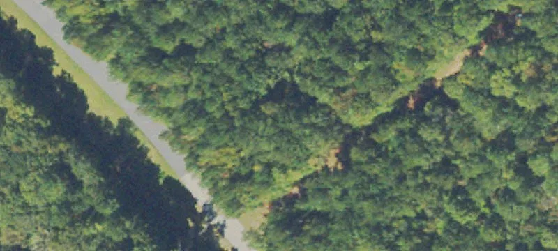 Sparta, GA 31087