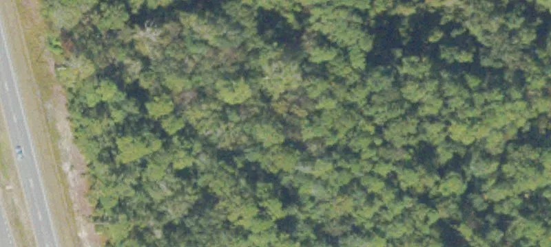 Folkston, GA 31537