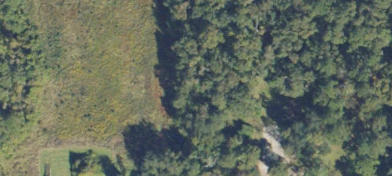 11947 Us Hwy 84