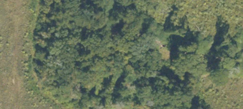 Camilla, GA 31730