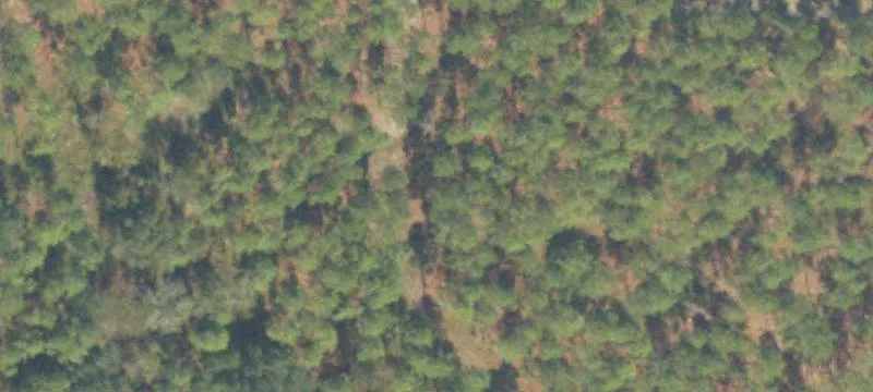 Vada Rd