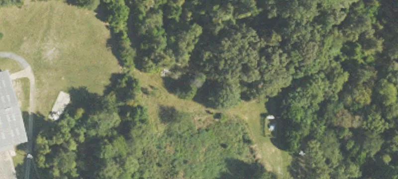 Buena Vista, GA 31803