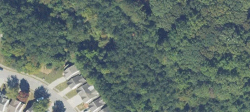 Brookwood Blvd