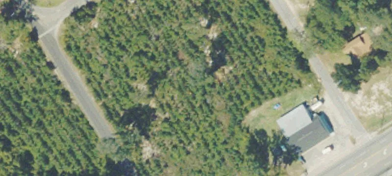 Ludowici, GA 31316