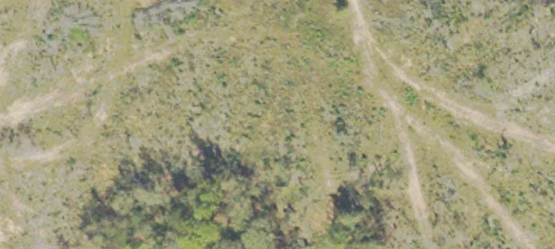 Smith Robson Rd, GA