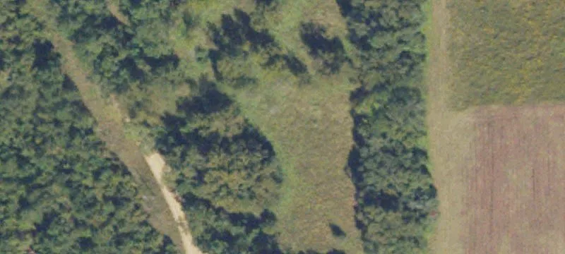15951 Us Hwy 84