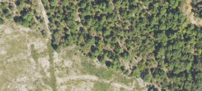 Mauk, GA 31058