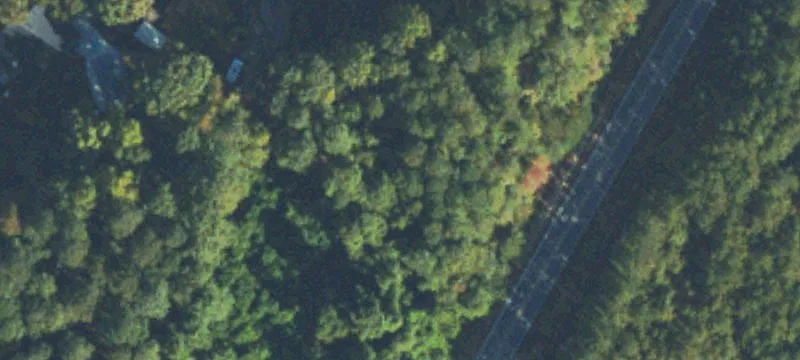 Old Grayson Hwy