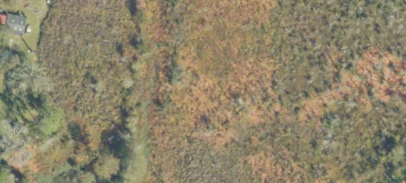 Rochelle, GA 31079