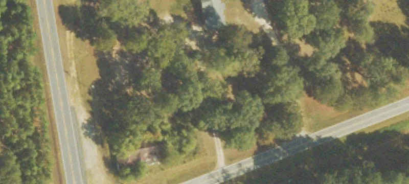 Shiloh, GA 31826