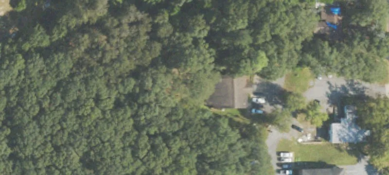 Buena Vista, GA 31803