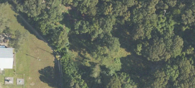 Ellaville, GA 31806