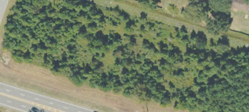 Oglethorpe Hwy