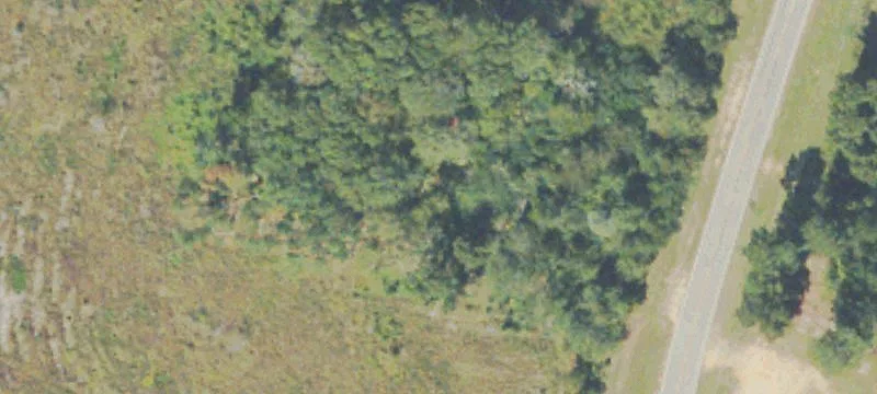 Tree Nursery Rd