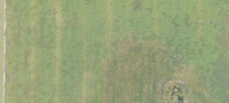 Ambrose, GA 31512