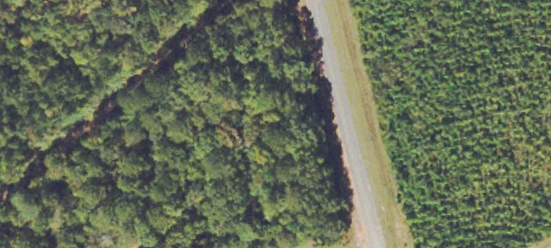 Moran Rd