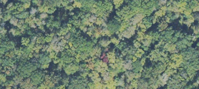 Mc Intyre, GA 31054