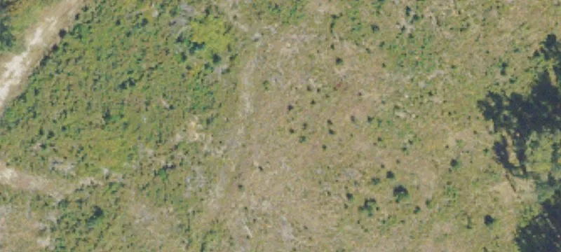 Old Augusta Rd