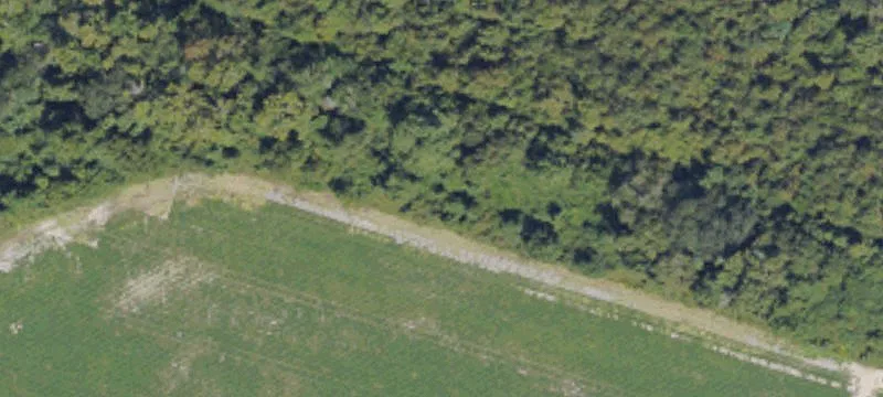 Sylvester, GA 31791