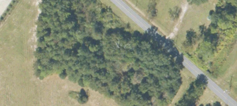 Macarthur Dr
