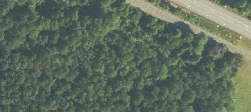 Historic Hwy 17