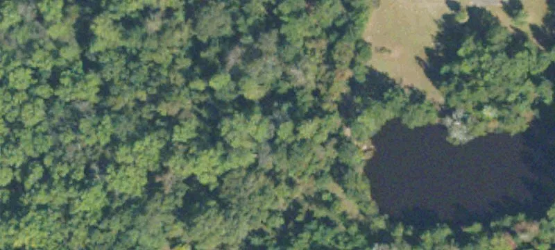 250 Uvalda Hwy