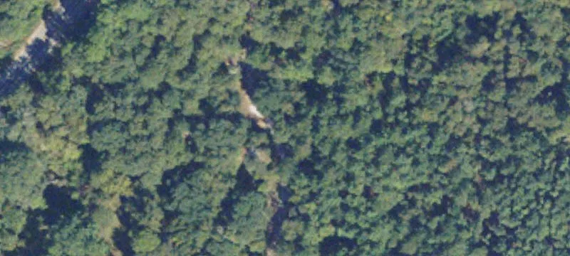 Alamo, GA 30411