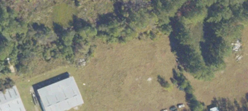3819 Newsome Rd