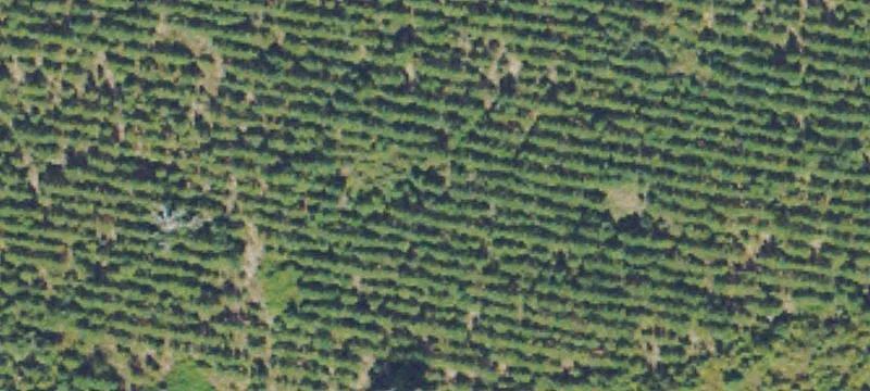 Oak Crk Rd