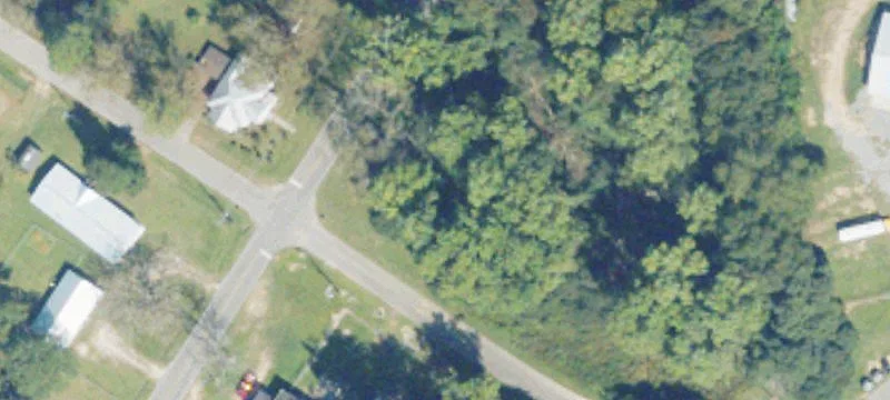 Alamo, GA 30411
