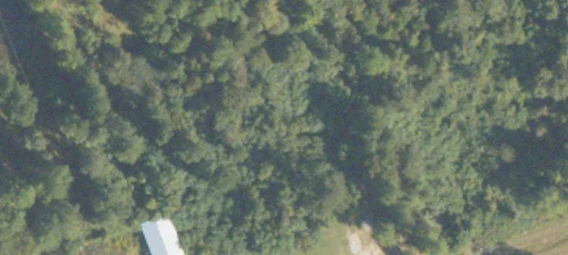 846 Hwy 80