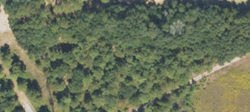 Arlington, GA 39813