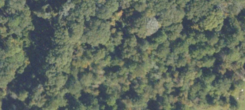 Rochelle, GA 31079