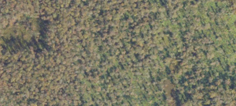 Lakeland, GA 31635