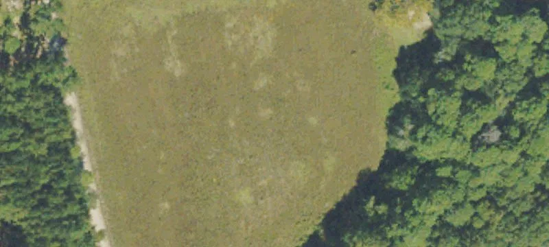 3991 Hwy 67
